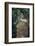 Indonesia, Bali, Ubud, Long Tailed Macaque in Monkey Forest Sanctuary-Paul Souders-Framed Photographic Print