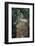 Indonesia, Bali, Ubud, Long Tailed Macaque in Monkey Forest Sanctuary-Paul Souders-Framed Photographic Print