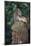 Indonesia, Bali, Ubud, Long Tailed Macaque in Monkey Forest Sanctuary-Paul Souders-Mounted Photographic Print