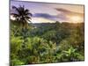 Indonesia, Bali, Ubud, Sayan Valley and Ayung River-Michele Falzone-Mounted Photographic Print