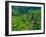 Indonesia, Bali, Ubud. Tegallalang Rice Terraces.-Julie Eggers-Framed Photographic Print