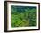 Indonesia, Bali, Ubud. Tegallalang Rice Terraces.-Julie Eggers-Framed Photographic Print