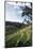 Indonesia, Bali, View of Field-Tony Berg-Mounted Photographic Print