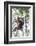 Indonesia, Borneo, Kalimantan. Female orangutan at Tanjung Puting National Park.-Jaynes Gallery-Framed Photographic Print