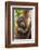 Indonesia, Borneo, Kalimantan. Female orangutan with baby at Tanjung Puting National Park.-Jaynes Gallery-Framed Photographic Print