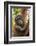 Indonesia, Borneo, Kalimantan. Female orangutan with baby at Tanjung Puting National Park.-Jaynes Gallery-Framed Photographic Print