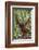 Indonesia, Central Kalimatan, Tanjung Puting National Park. a Male Orangutan Calling.-Nigel Pavitt-Framed Photographic Print