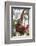 Indonesia, Central Kalimatan-Nigel Pavitt-Framed Photographic Print