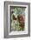 Indonesia, Central Kalimatan-Nigel Pavitt-Framed Photographic Print