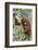 Indonesia, Central Kalimatan-Nigel Pavitt-Framed Photographic Print