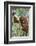 Indonesia, Central Kalimatan-Nigel Pavitt-Framed Photographic Print