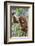 Indonesia, Central Kalimatan-Nigel Pavitt-Framed Photographic Print