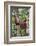 Indonesia, Central Kalimatan-Nigel Pavitt-Framed Photographic Print