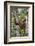 Indonesia, Central Kalimatan-Nigel Pavitt-Framed Photographic Print