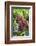 Indonesia, Central Kalimatan-Nigel Pavitt-Framed Photographic Print