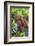 Indonesia, Central Kalimatan-Nigel Pavitt-Framed Photographic Print