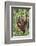 Indonesia, Central Kalimatan-Nigel Pavitt-Framed Photographic Print