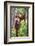 Indonesia, Central Kalimatan-Nigel Pavitt-Framed Photographic Print