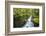 Indonesia, Central Kalimatan-Nigel Pavitt-Framed Photographic Print