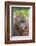 Indonesia, Central Kalimatan-Nigel Pavitt-Framed Photographic Print