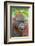 Indonesia, Central Kalimatan-Nigel Pavitt-Framed Photographic Print