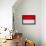 Indonesia Flag Design with Wood Patterning - Flags of the World Series-Philippe Hugonnard-Framed Stretched Canvas displayed on a wall