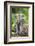 Indonesia, Flores Island, Moni. a Long-Tailed Macaque Monkey in the Kelimutu National Park-Nigel Pavitt-Framed Photographic Print