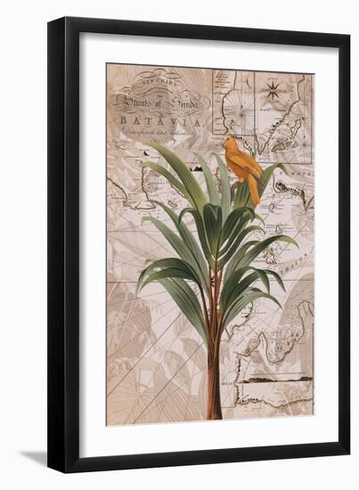 Indonesia Jungle Paradise No2-Andrea Haase-Framed Giclee Print