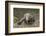 Indonesia, Komodo Dragon National Park. Close-up of Komodo dragon.-Jaynes Gallery-Framed Photographic Print