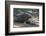 Indonesia, Komodo Island. Komodo NP, UNESCO. Famous Komodo Dragon-Cindy Miller Hopkins-Framed Photographic Print