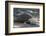 Indonesia, Komodo Island. Komodo NP, UNESCO. Famous Komodo Dragon-Cindy Miller Hopkins-Framed Photographic Print