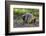 Indonesia, Loh Buaya-Nigel Pavitt-Framed Photographic Print