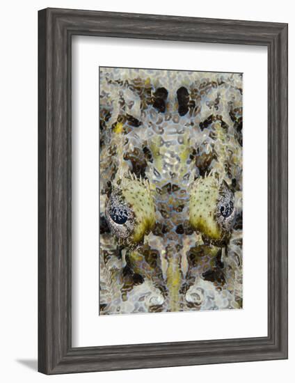 Indonesia, West Papua, Cenderawasih Bay. Close-Up of Crocodilefish-Jaynes Gallery-Framed Photographic Print