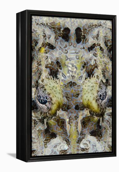 Indonesia, West Papua, Cenderawasih Bay. Close-Up of Crocodilefish-Jaynes Gallery-Framed Premier Image Canvas