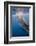 Indonesia, West Papua, Cenderawasih Bay. Whale Shark Surfacing-Jaynes Gallery-Framed Photographic Print