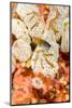 Indonesia, West Papua, Raja Ampat. Close-Up of Coral and Blenny Fish-Jaynes Gallery-Mounted Photographic Print