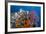 Indonesia, West Papua, Raja Ampat. Coral Reef and Fish-Jaynes Gallery-Framed Photographic Print