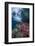 Indonesia, West Papua, Raja Ampat. Coral Reef Scenic-Jaynes Gallery-Framed Photographic Print