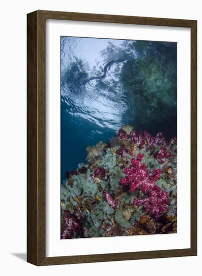 Indonesia, West Papua, Raja Ampat. Coral Reef Scenic-Jaynes Gallery-Framed Photographic Print