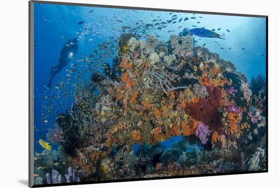 Indonesia, West Papua, Raja Ampat. Diver and Coral Reef-Jaynes Gallery-Mounted Photographic Print