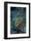 Indonesia, West Papua, Raja Ampat-Jaynes Gallery-Framed Photographic Print