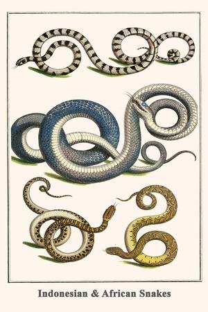 african snake art