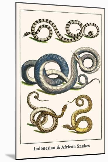 Indonesian and African Snakes-Albertus Seba-Mounted Art Print