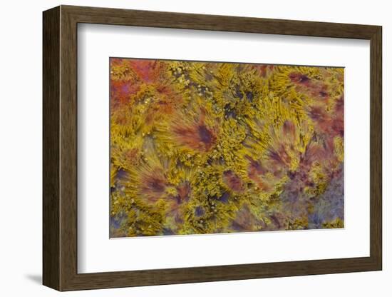 Indonesian Flame Agate-Darrell Gulin-Framed Photographic Print