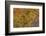 Indonesian Flame Agate-Darrell Gulin-Framed Photographic Print