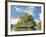 Indonesian islands-Fadil-Framed Photographic Print