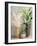 Indoor Garden III-Danhui Nai-Framed Art Print