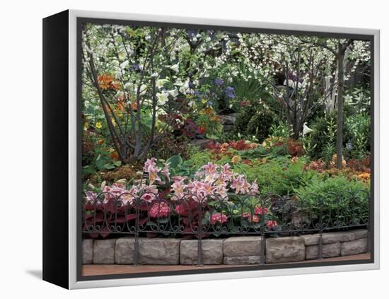 Indoor Garden, Krohn Conservatory, Cincinatti, Ohio, USA-Adam Jones-Framed Premier Image Canvas