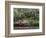 Indoor Garden, Krohn Conservatory, Cincinatti, Ohio, USA-Adam Jones-Framed Photographic Print