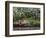 Indoor Garden, Krohn Conservatory, Cincinatti, Ohio, USA-Adam Jones-Framed Photographic Print